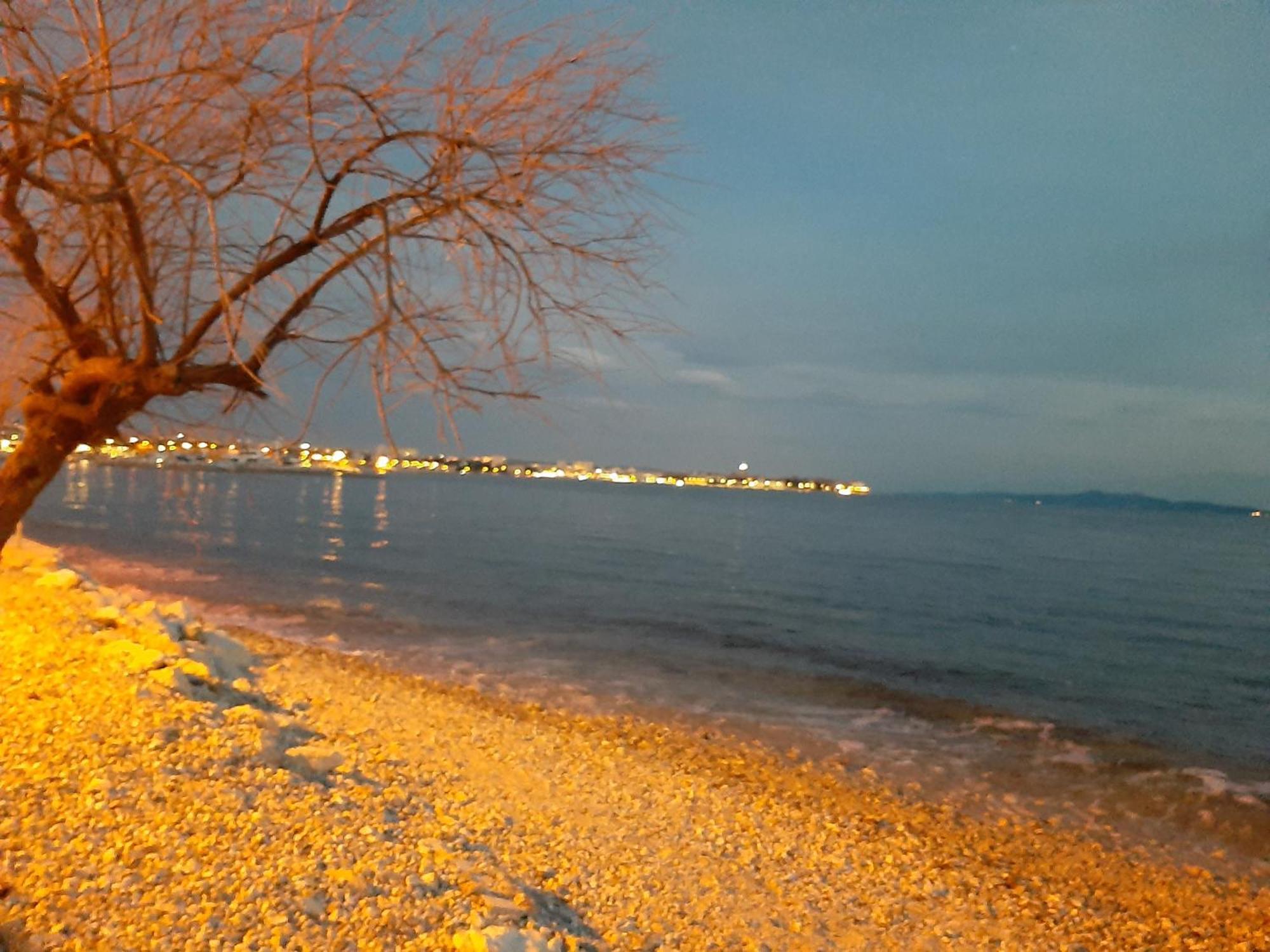 Villa Aurelia Zadar Bagian luar foto